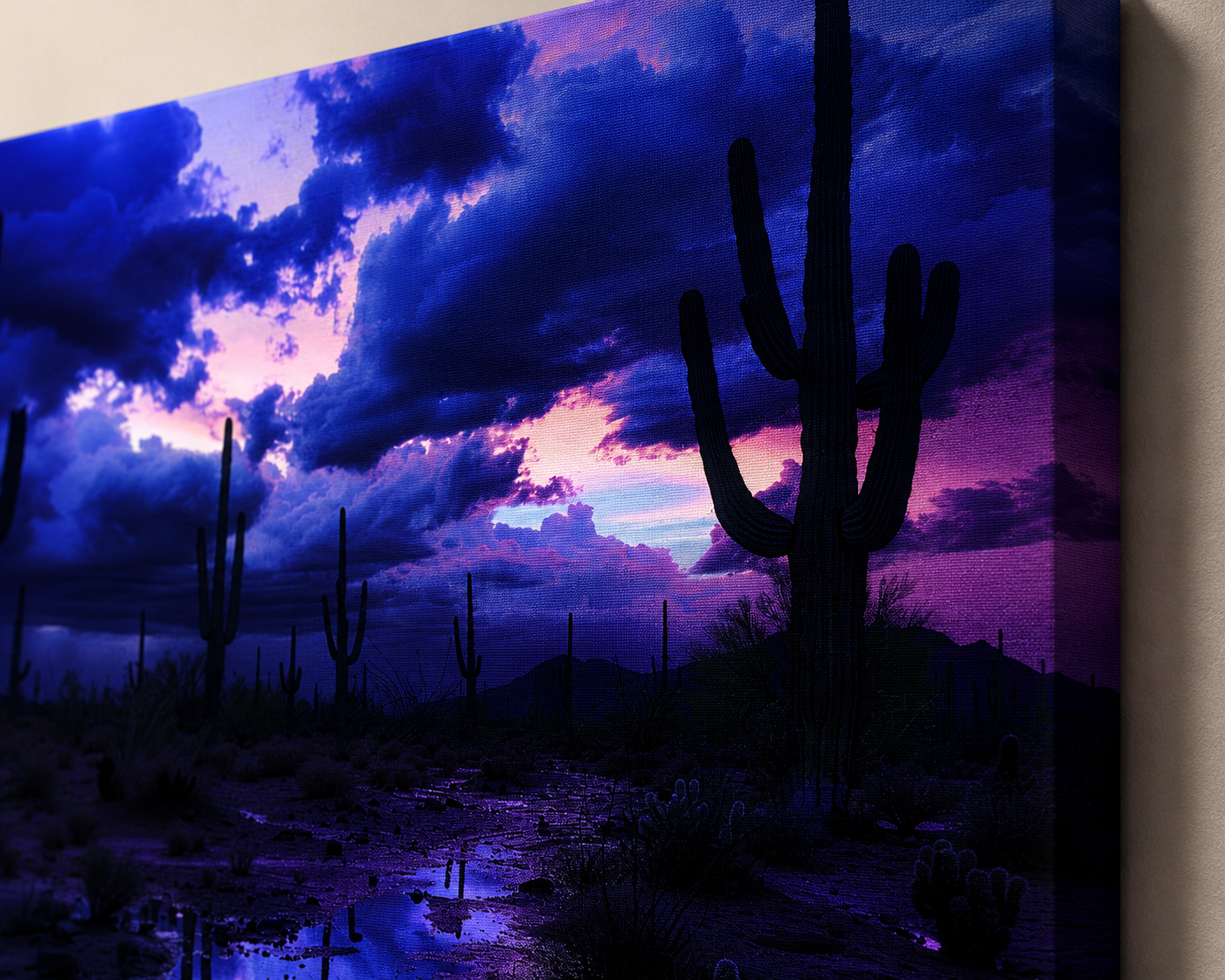 After the Desert Rain
