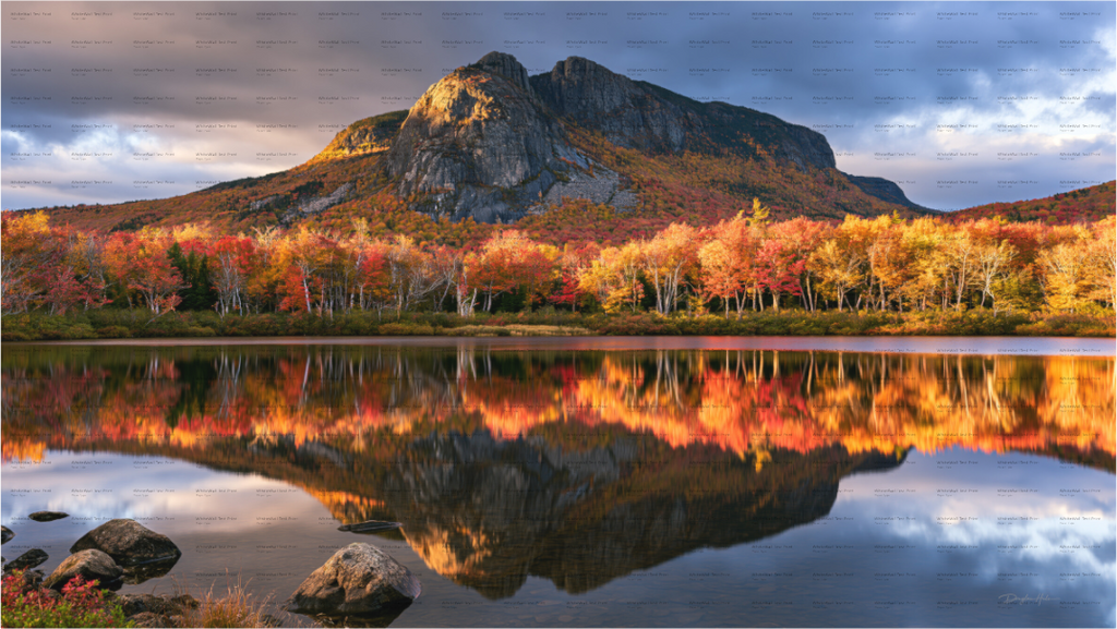 Main image Autumns Reflection